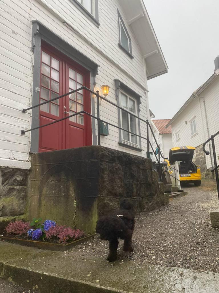 200 M Til Alt To Everything Egersund Dış mekan fotoğraf